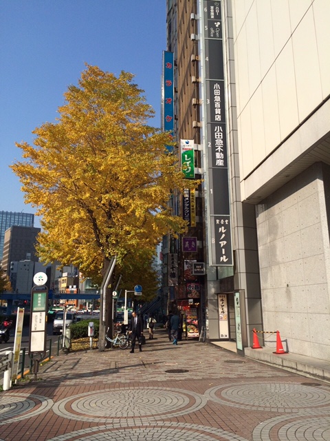 ルノアール